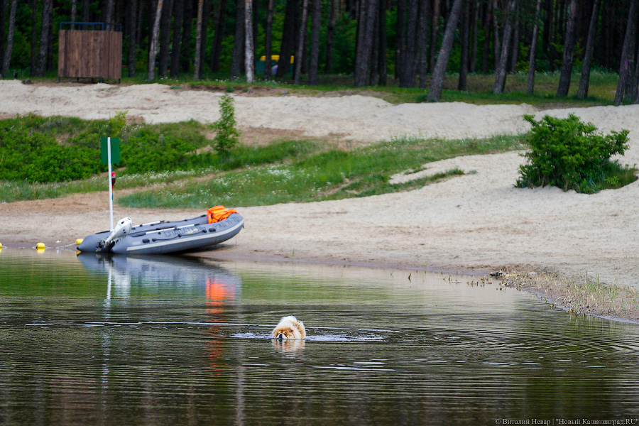 «Не врите мне»: фекалии в воде не портят отдых калининградским купальщикам (фото)