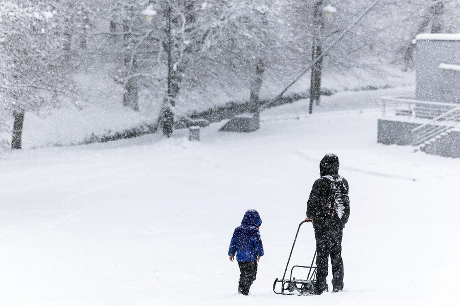 Пролетая на ватрушке: как в Центральном парке катаются с горки вопреки запретам (фото)