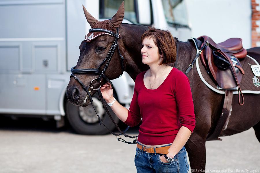 «Кубок президента РФ для немцев»: фоторепортаж с турнира по конкуру в Георгенбурге