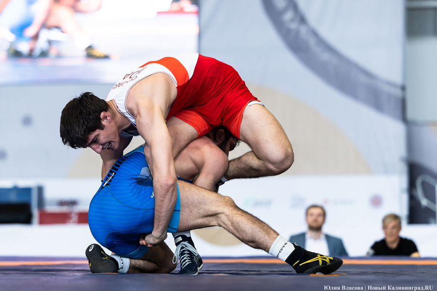 На пределе сил: в Калининграде прошел турнир по борьбе на Кубок Андрея Шумилина (фото)
