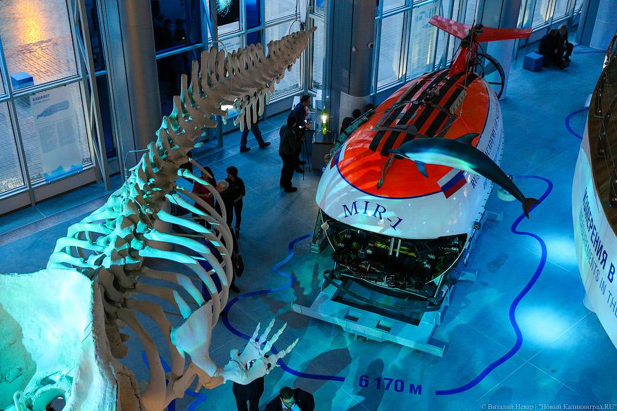 В Музее Мирового океана собрались отметить 30-летие «Миров»