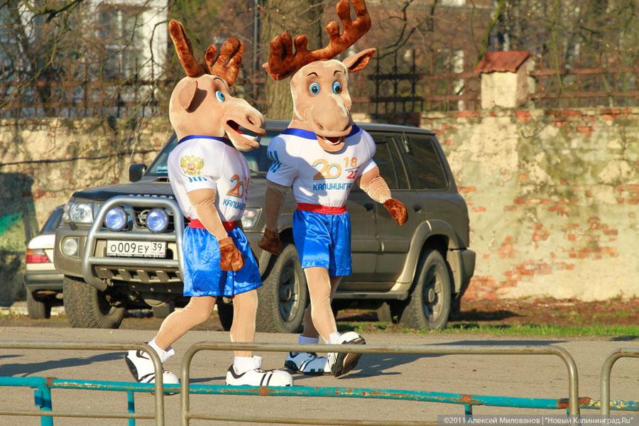 «Сухая ничья»: фоторепортаж «Нового Калининграда.Ru»