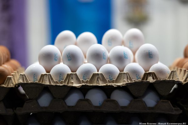 Перед Пасхой в Калининграде существенно подешевели яйца