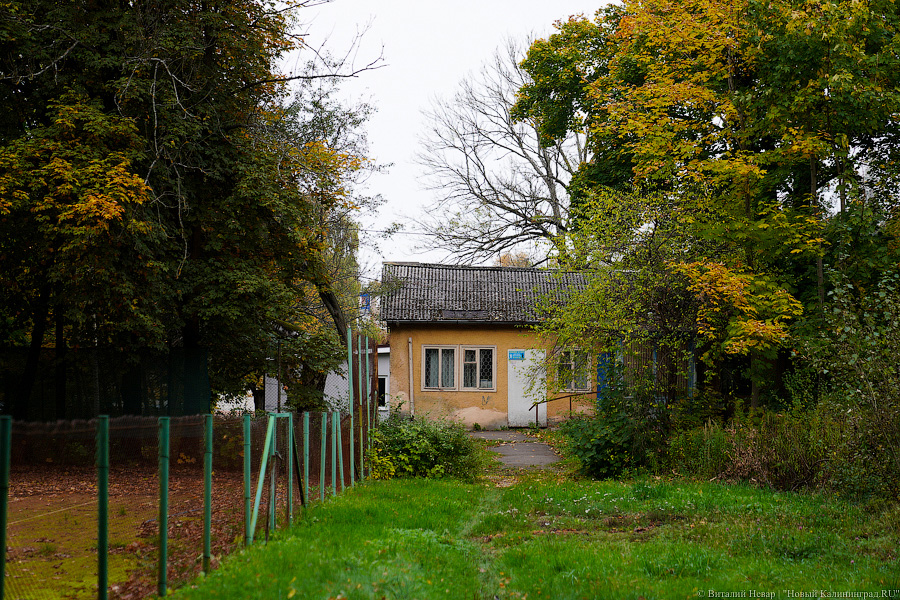 Увидеть в последний раз: осень на стадионе «Спартак», который хотят застроить (фото)