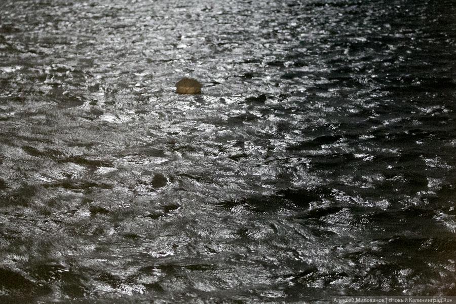 Крещенские купания с губернатором: фоторепортаж из Янтарного 