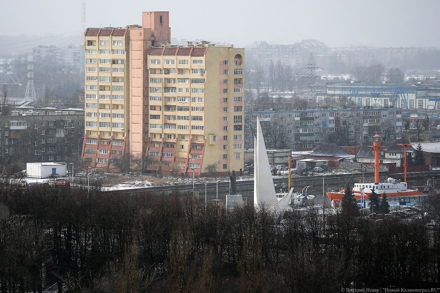 83% мигрирующих в регион граждан селятся в Калининграде