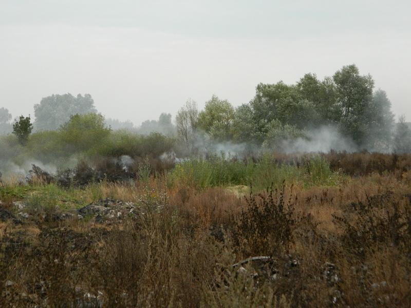 «Зеленый фронт»: в Багратионовском районе вторую неделю горит закрытая свалка