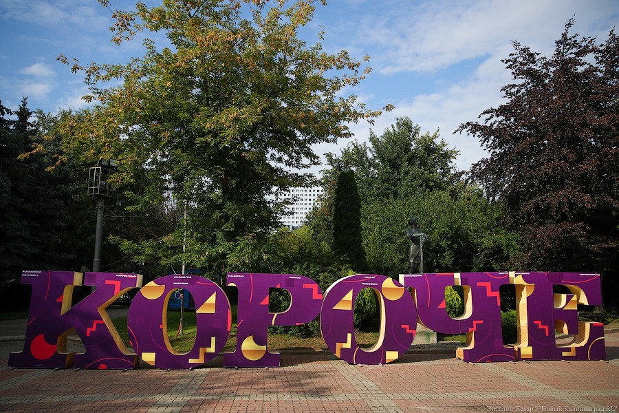 Виталий Невар / Новый Калининград 