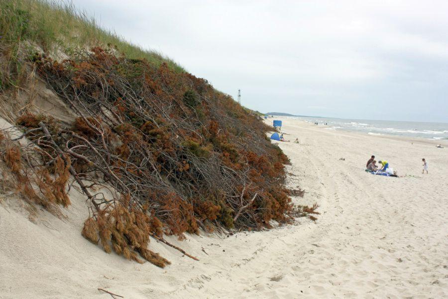 «Литовская цивилизация»: фоторепортаж «Нового Калининграда.Ru» 