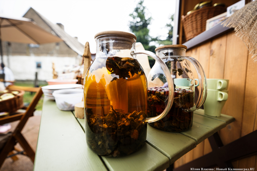 «Дружить ряпушками»: в Роминтской пуще прошёл рыбный фестиваль с карельскими корнями (фото)