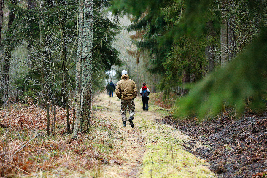 Калининград вошел в топ-5 городов, жители которых часто ходят в походы