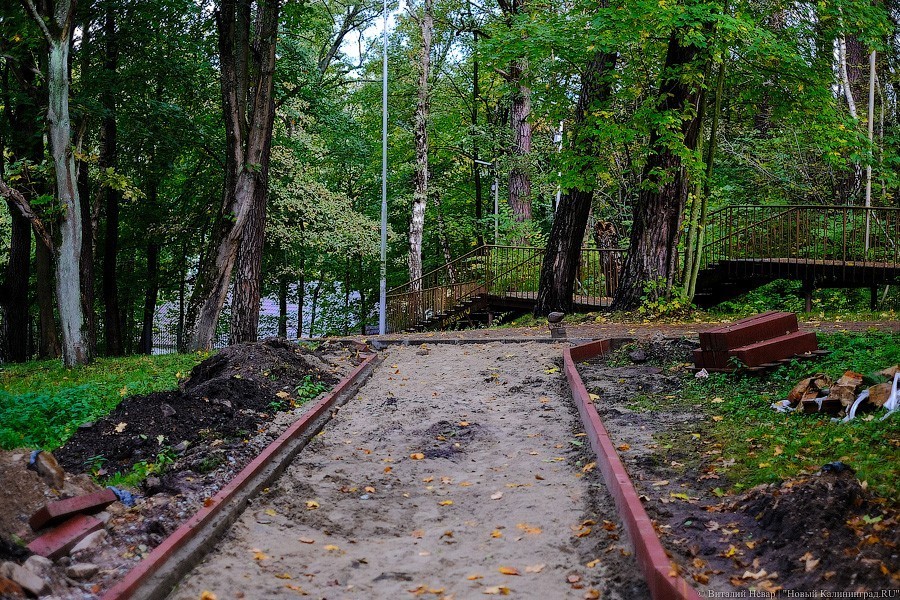 Муза освоения: как за федеральные деньги благоустраивают парк в Светлогорске