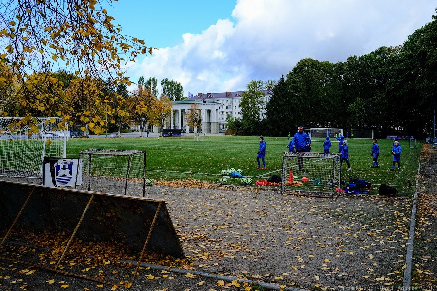 Огород вместо поля: что происходит со стадионом «Балтика» прямо сейчас (фото)