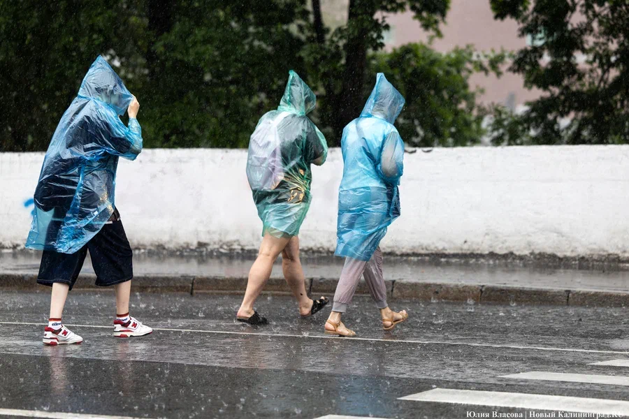 Синоптики рассказали, когда в Калининградскую область вернутся прохлада и дожди