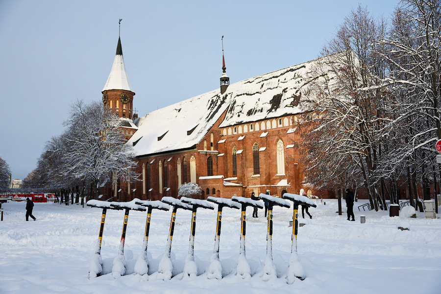 Хаос под белым покрывалом: как выглядит утонувший в снегу Калининград (фото)