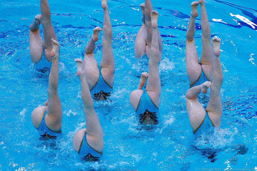 В Калининграде проходит Кубок России по синхронному плаванию. Вот как это выглядит (фото)