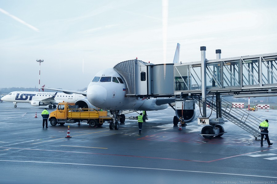 Режим самоизоляции для прилетающих в Калининград продлили. Обсервацию сделали платной