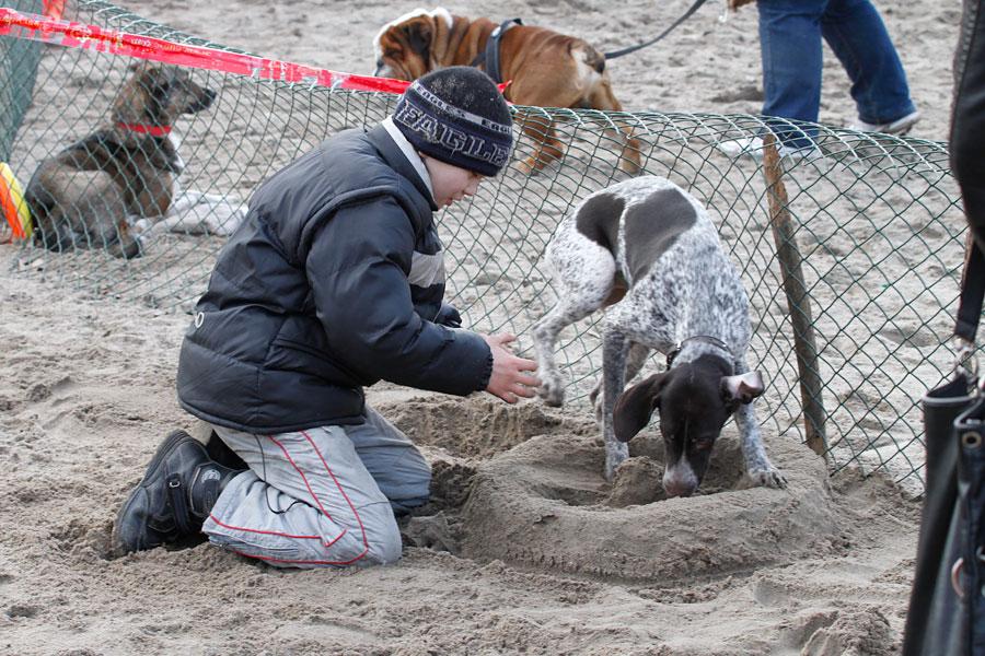 «Главные по тарелочкам»: фоторепортаж с соревнований по дог-фрисби