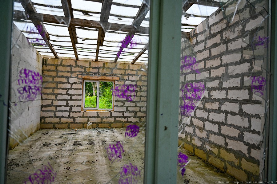 Прокуратура: не можем организовать экспертизу капитальности построек в Суздальском лесу