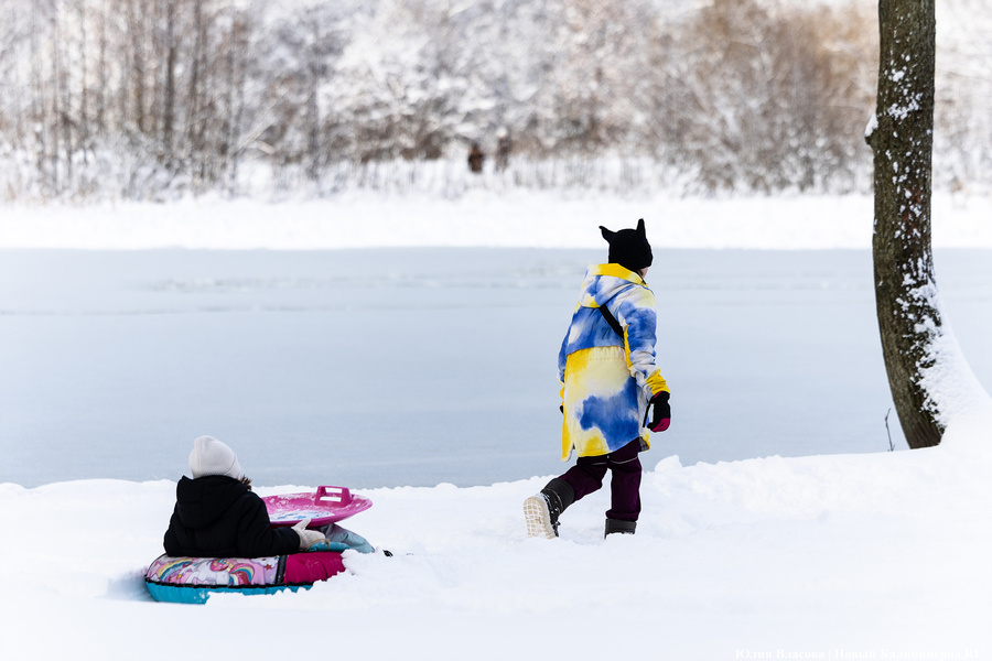 После двадцати лет ожидания: как Калининград встретил Новый год со снегом (фото)