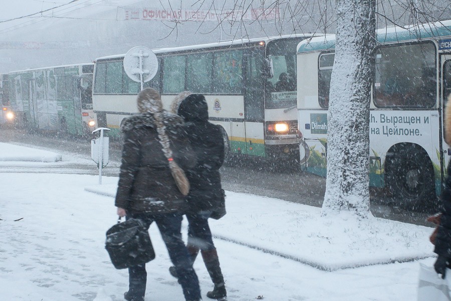 Центр Калининграда встал в пробках из-за выпавшего снега