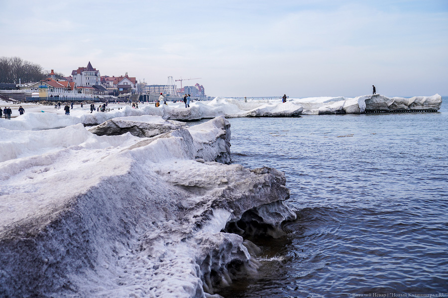 В Калининградской области массово гуляют по морскому льду, несмотря на запрет МЧС (фото)