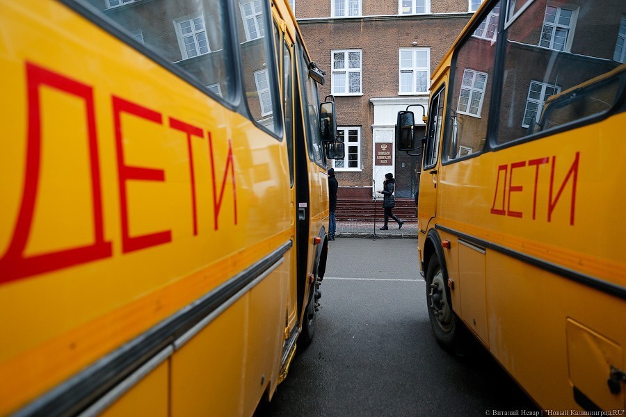 На коленях нельзя, без кресла — тоже: 8 тонкостей перевозки детей по области