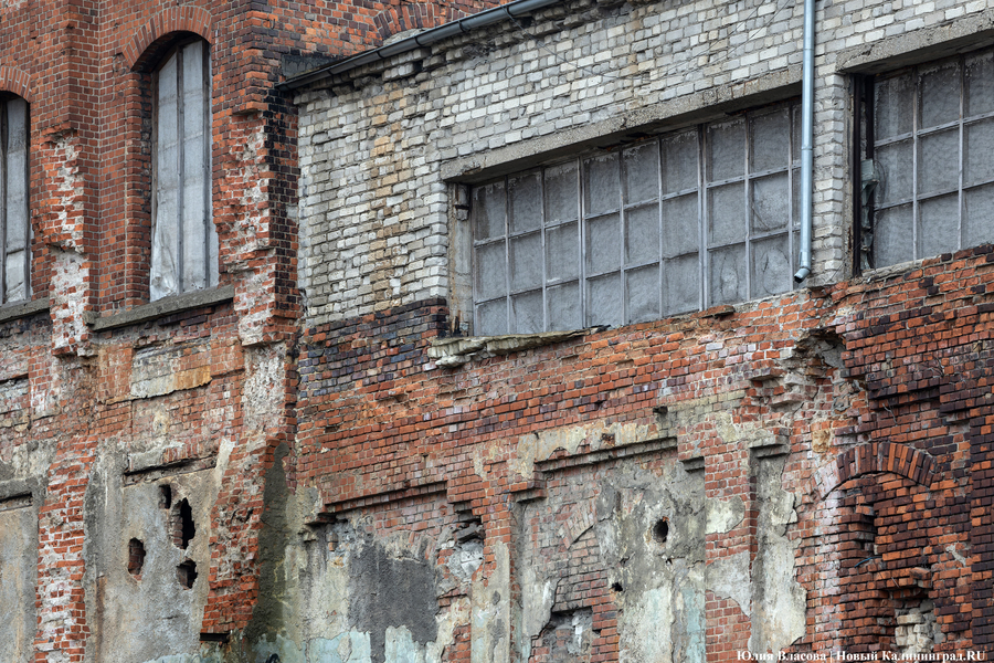 Постапокалиптический пейзаж: что происходит с территорией бывшего ЦБЗ-1 (фото)