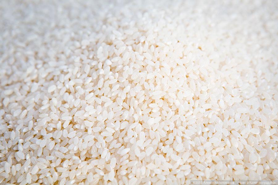 Пловщик Сергей Колесов: «Жена Путина ела плов из моих рук»