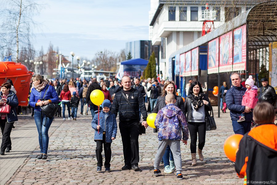 Салаке и корюшке на заметку: как прошёл День селёдки в Калининграде