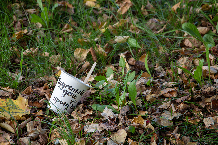 Погода в Калининградской области 2 октября