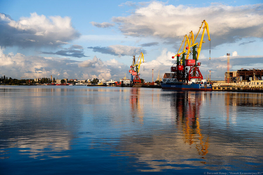 Продавец акций Калининградского торгового порта обжаловал решение суда об их взыскании