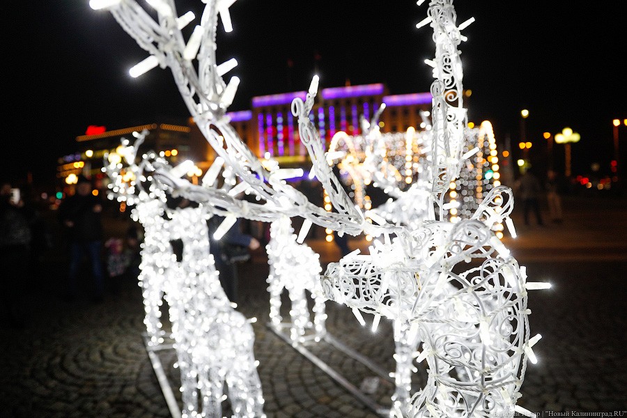 Открути оленю ушко: центр Калининграда украсили к Новому году (фото)