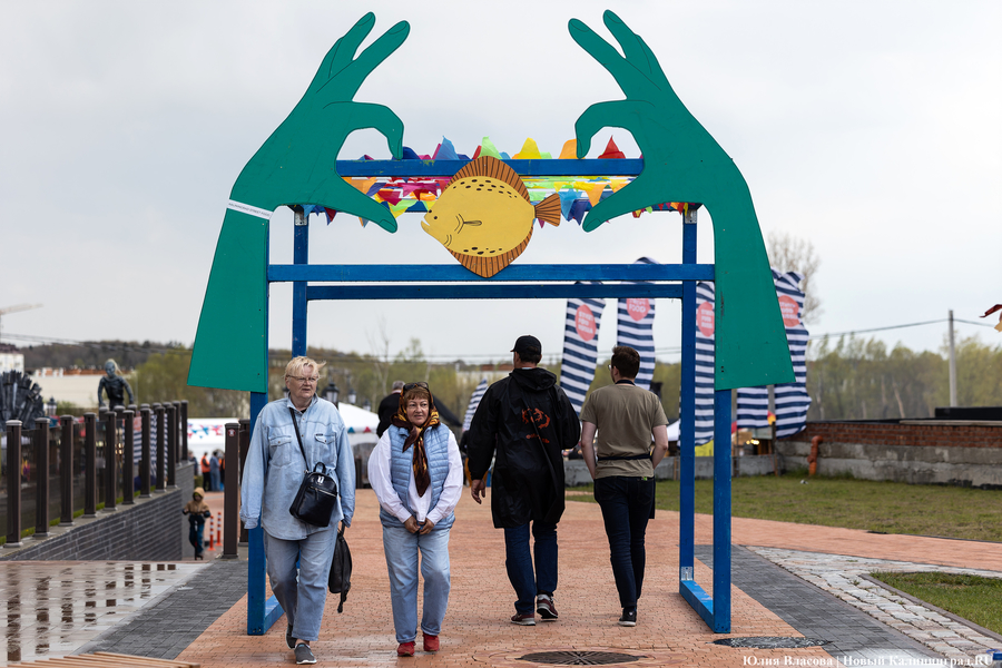 И рыба, и мясо: в Зеленоградске открылся гастрономический «Фиштиваль» (фото)