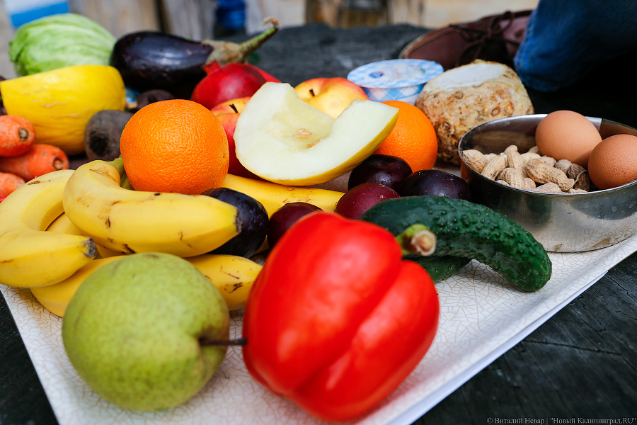 За стеклом: как живется в вольере для орангутанов Калининградского зоопарка