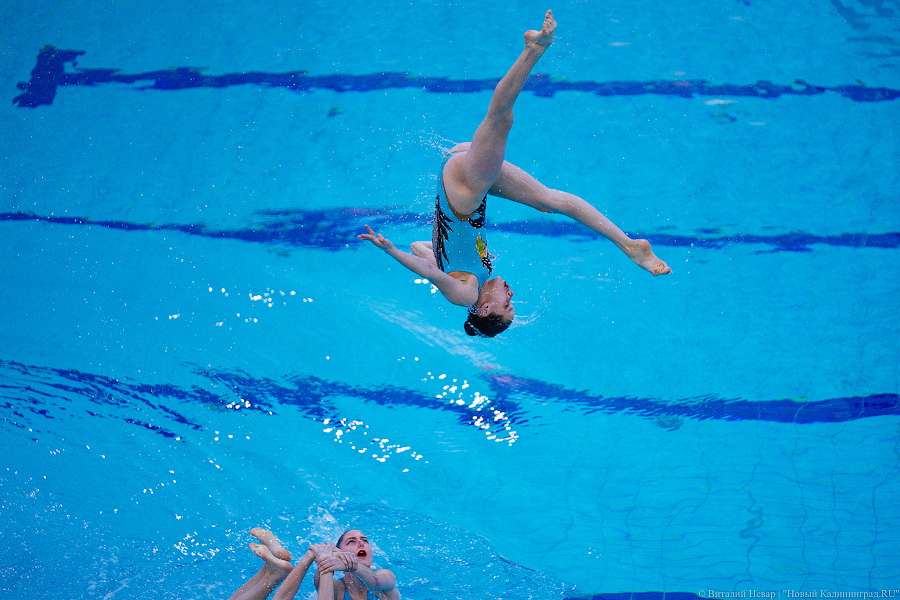 В Калининграде проходит Кубок России по синхронному плаванию. Вот как это выглядит (фото)