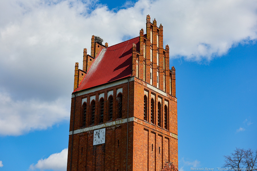 Сделать то, что удастся успеть: как кирху Алленбург в посёлке Дружба превращают в музей (фото)