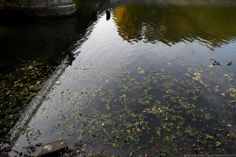 112: жители Черняховска нашли в колодце тело соседа