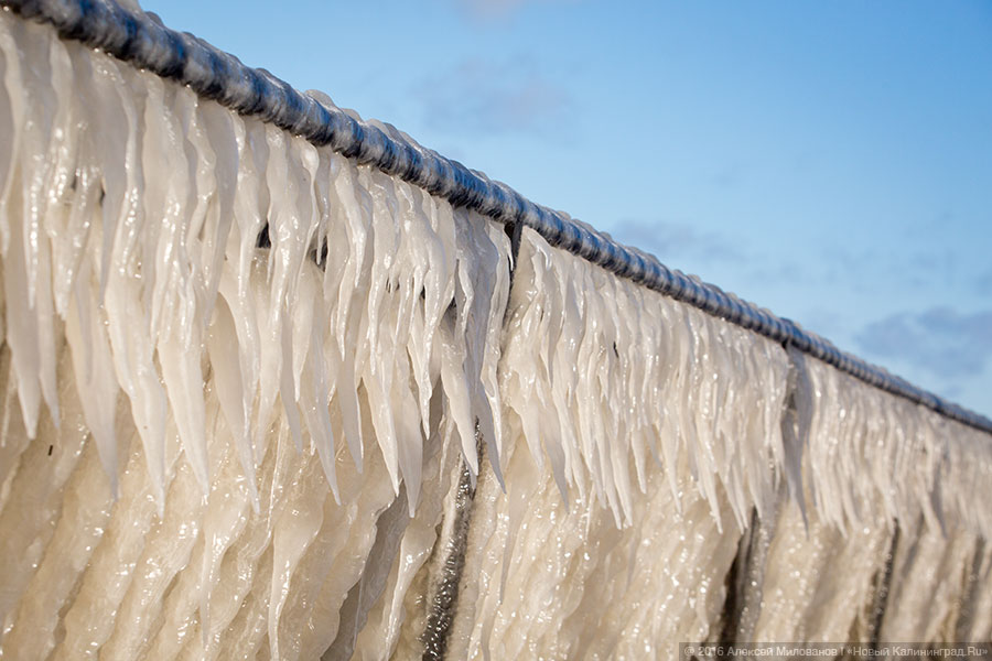 Президенция Деда Мороза: набережная в Пионерском после шторма (фото)