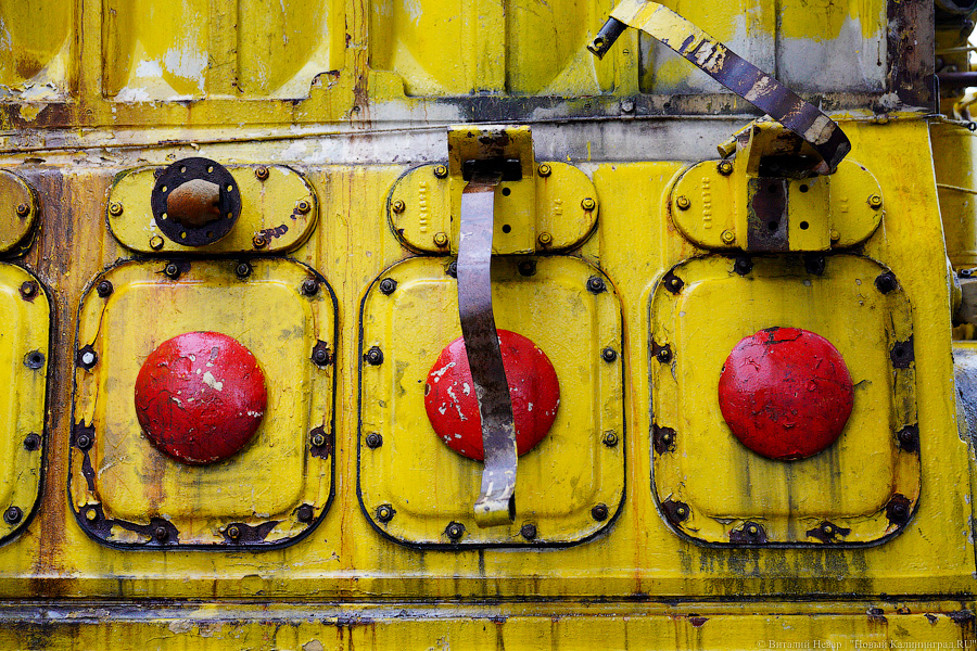 25 экваторов: двигатель «Крузенштерна» стал экспонатом Музея Мирового океана (фото)