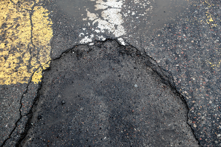 Горвласти назвали вероятные сроки начала реконструкции Аллеи Смелых