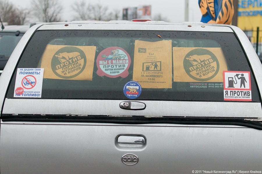 «Как автомобилисты с ценами боролись-2»: фоторепортаж «Нового Калининграда.Ru»