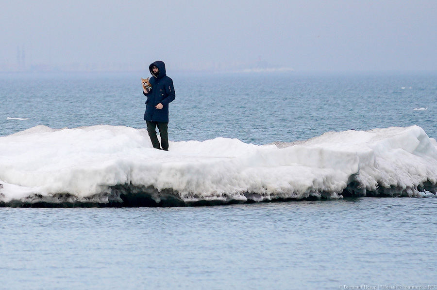 В Калининградской области массово гуляют по морскому льду, несмотря на запрет МЧС (фото)