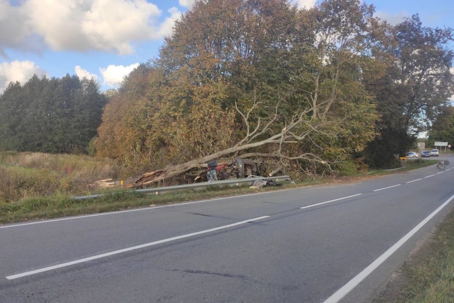 Заклинило руль: под Круглово грузовик снес дерево и перевернулся (фото)