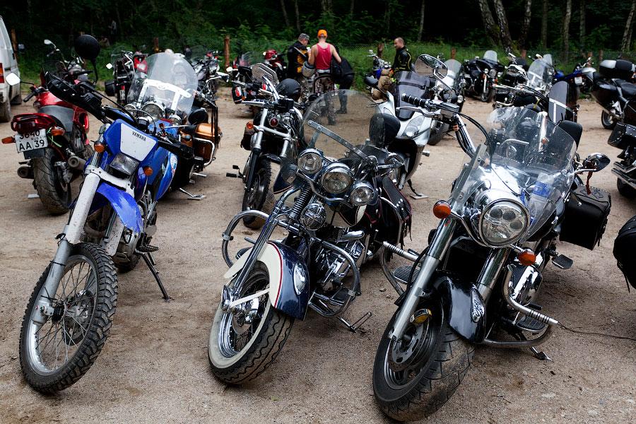 "Стальное братство": фоторепортаж "Афиши Нового Калининграда.Ru"