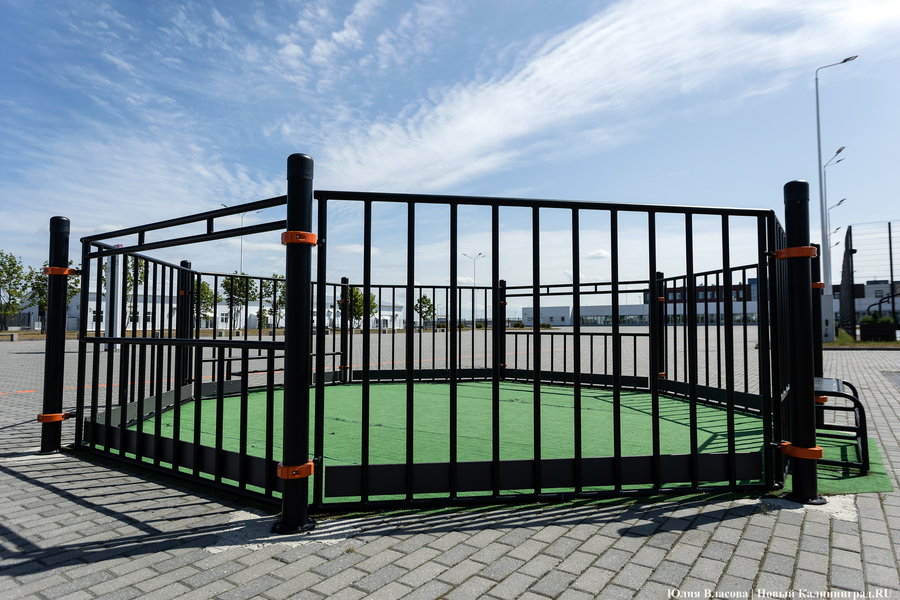 Госденьги должны уходить: директор стадиона «Калининград» о новом спонсоре и несбывшемся Rammstein