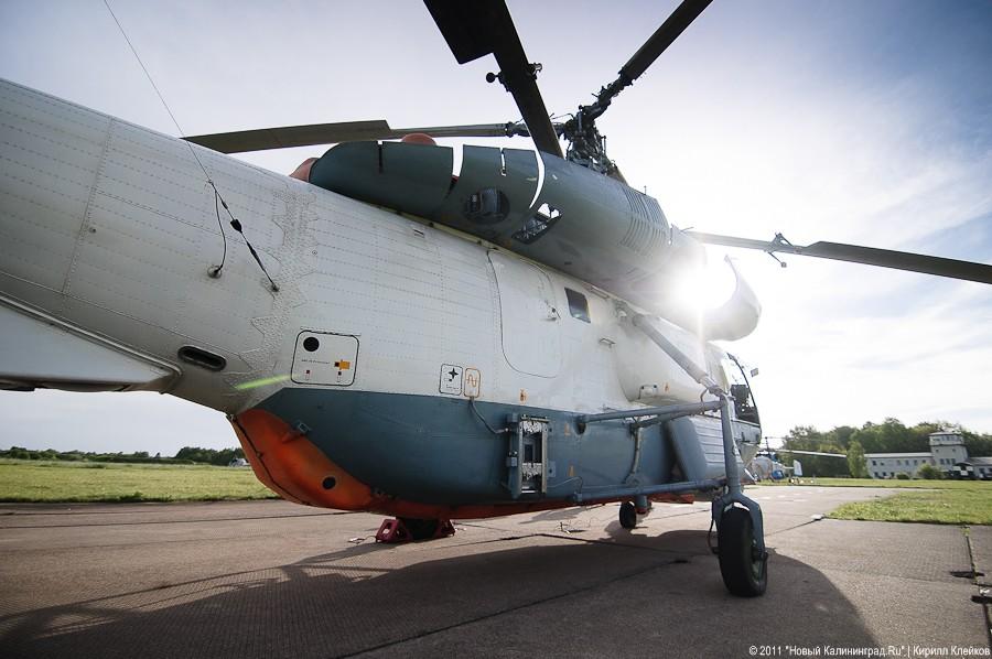 "Прилетит вдруг волшебник": фоторепортаж "Нового Калининграда.Ru"