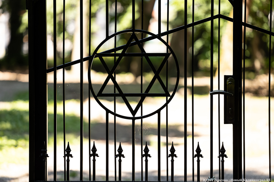 «Золотое место»: на территории еврейского кладбища планируют обустроить мемориальный парк   ﻿
