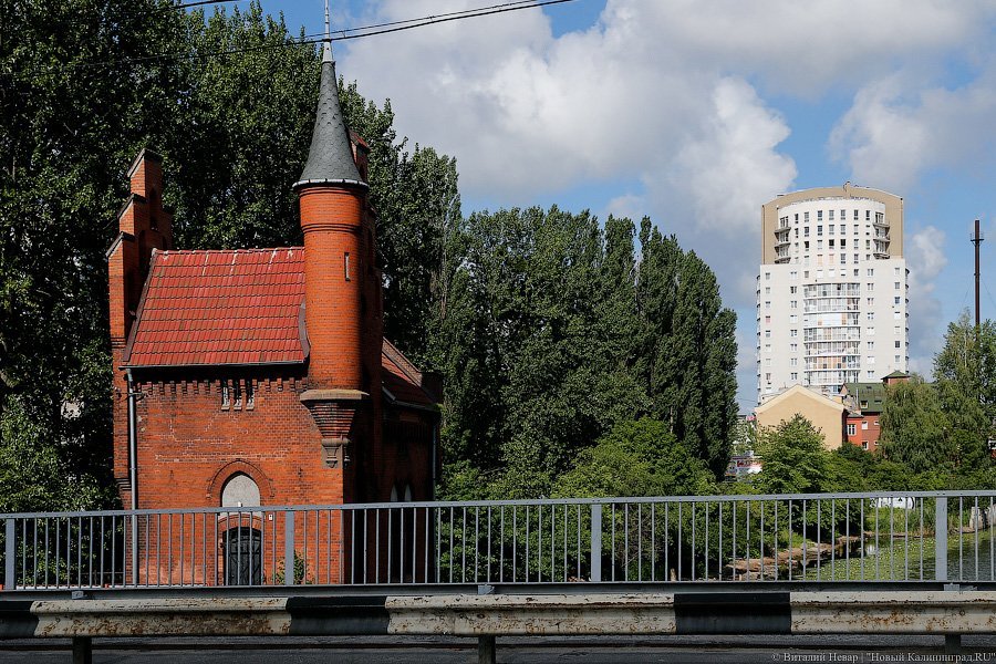 Фото — Виталий Невар, «Новый Калининград.Ru»