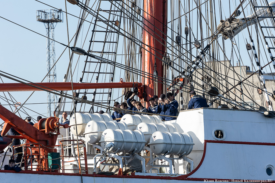 «Седов» заходит в морской канал. Посмотрите, как это красиво (фото)